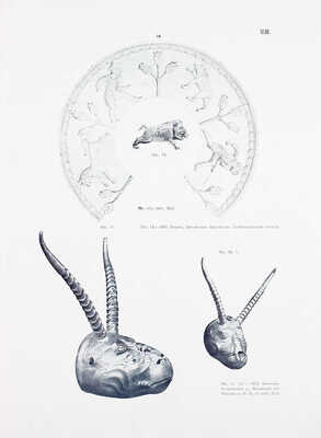 Смирнов Я.И. Восточное серебро. Атлас древней серебряной и золотой посуды восточного происхождения, найденной преимущественно в пределах Российской империи. СПб.: Изд. Императорско-археологической комиссии, 1909.